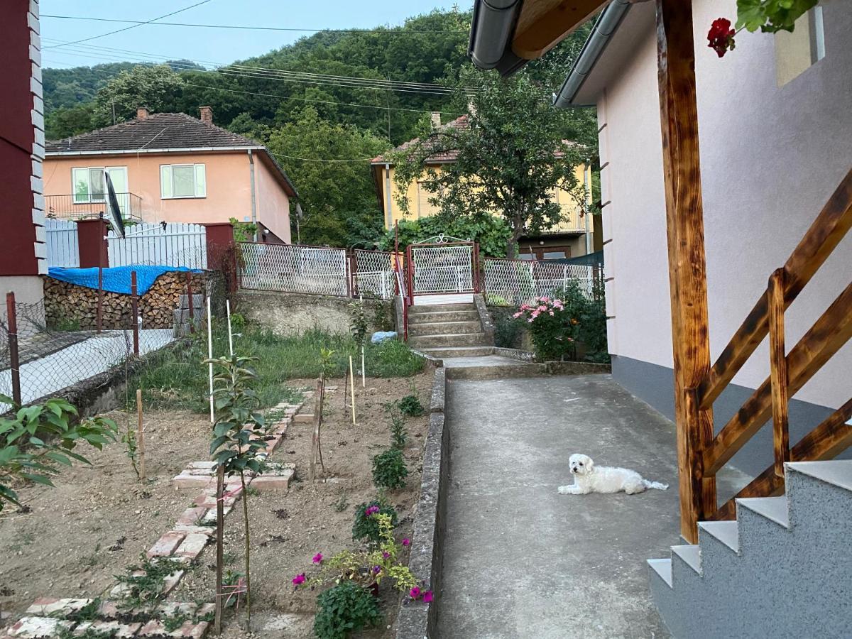 Smestaj Zeka Tekija Tekija  Екстериор снимка
